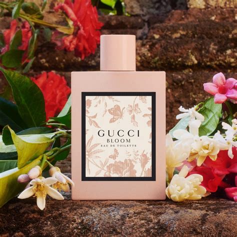 now smell this gucci bloom